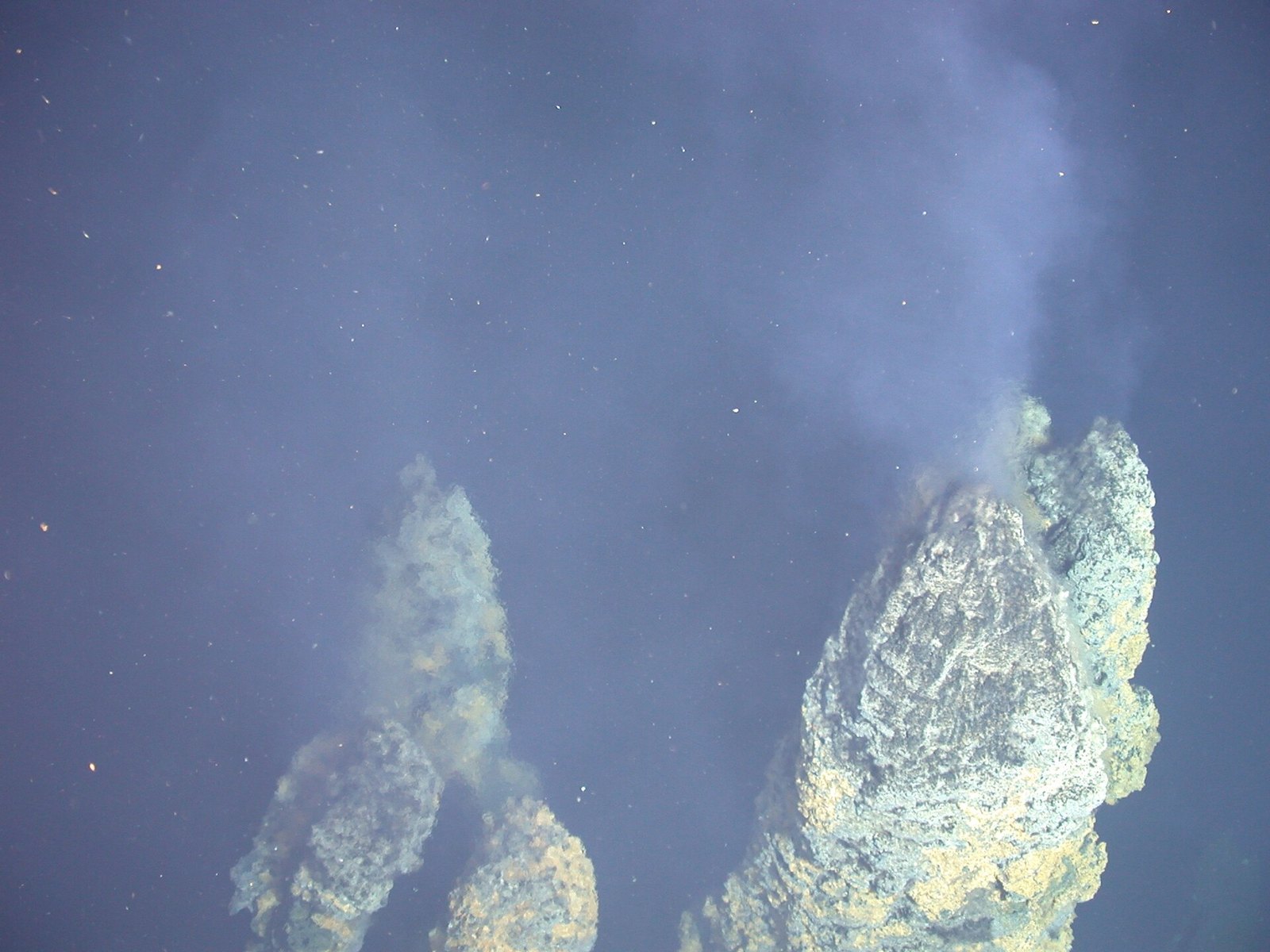 A deep-sea hydrothermal vent with the first microbes