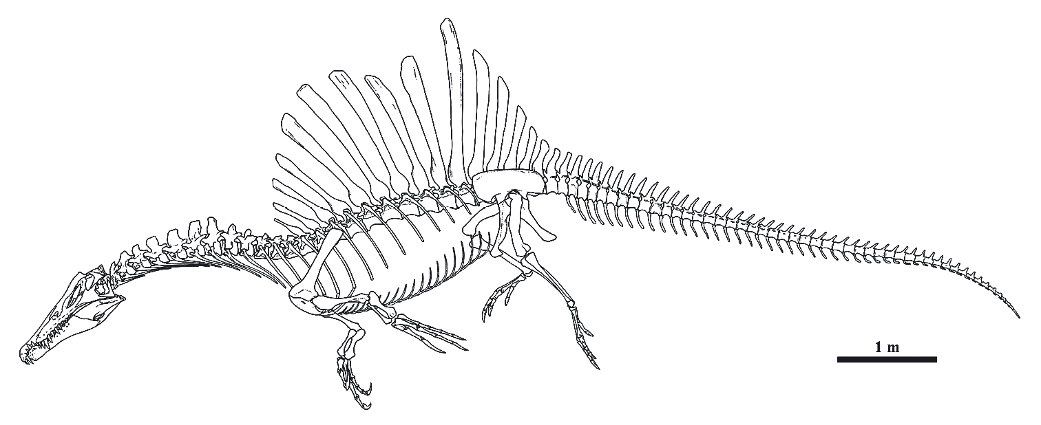 Spinosaurus fishing in a Cretaceous river